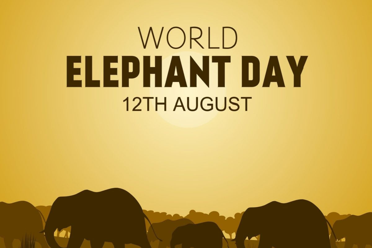 world-elephant-day